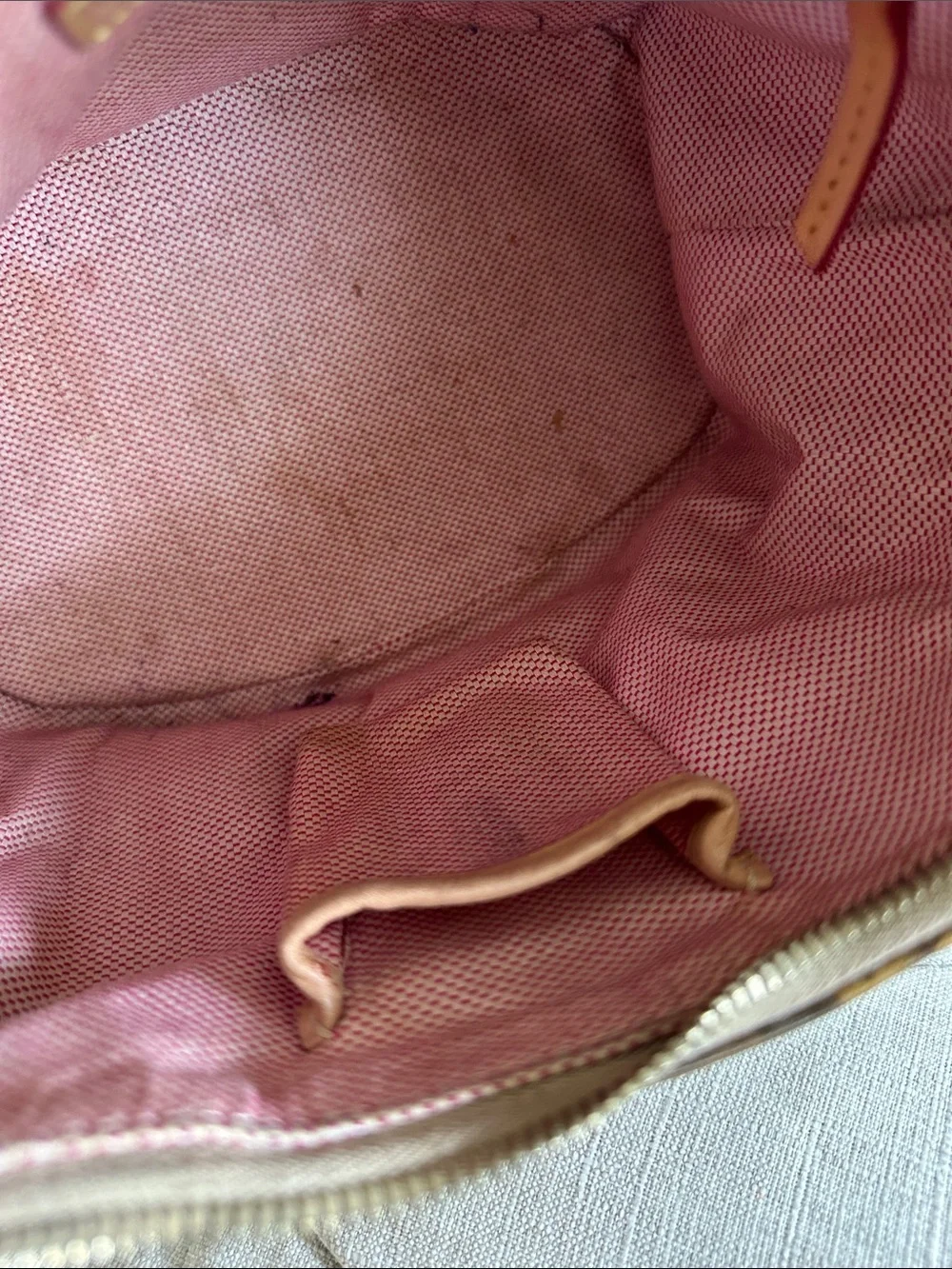 Dooney & Bourke Brown Logo Hobo with Pink Trim